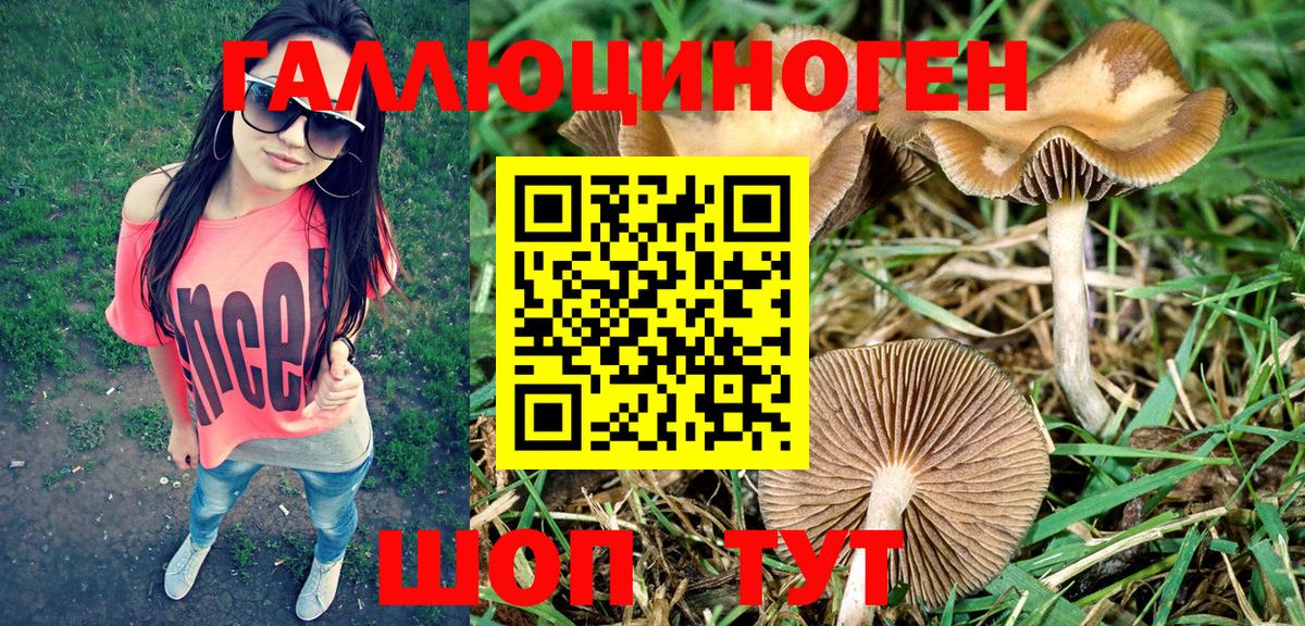 ГАШ  Alpha PVP СК   Дальнегорск  МДМА  Вход с VPN  МЕФ  Мефедрон   Кетамин 